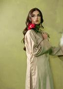 Soft Taupe – Luxury Embroidered 3-Piece Shalwar Suit