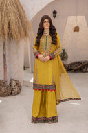 Dhani Charm - 3 Piece Chiffon