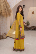 Dhani Charm - 3 Piece Chiffon