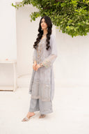 Grey Glamor - 3 Piece Chiffon